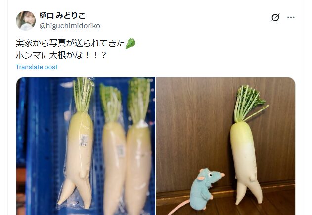 樋口みどりこのTwitter