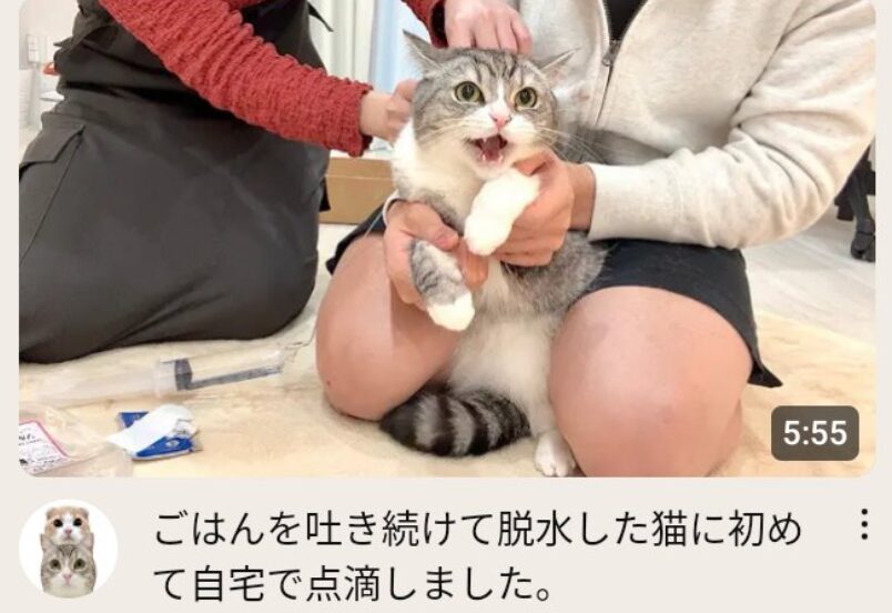 もちまる日記