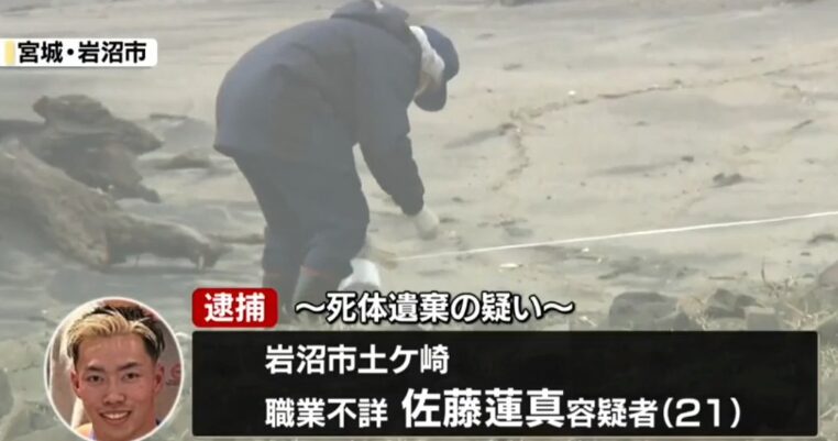 佐藤蓮真